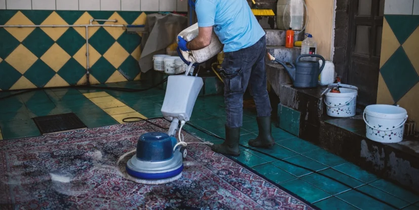 Professional Area Rug Cleaning